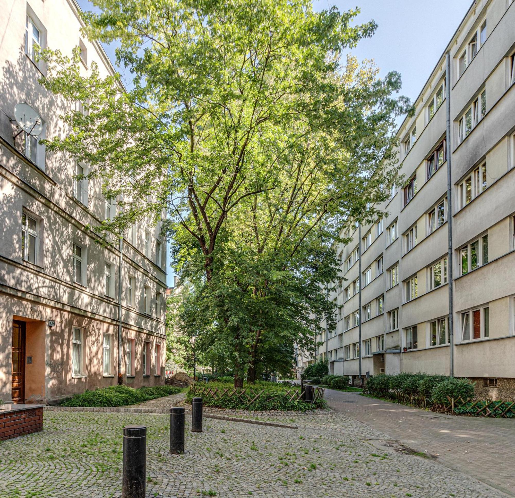 Rentplanet - Studio Nadodrze Wrocław Eksteriør bilde